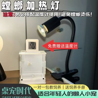 螳螂加热灯用品uvb灯加热灯乌龟灯uva爬宠灯陶瓷全光谱太阳灯宠物