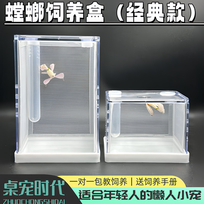 螳螂饲经典款昆虫饲养盒爬亚克力饲养盒树蛙饲养盒桌宠时代