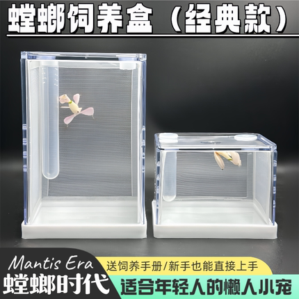 螳螂饲经典款昆虫饲养盒爬亚克力饲养盒树蛙饲养盒螳螂时代