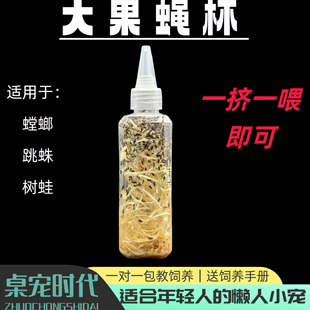 果蝇杯大果蝇小果蝇饲料螳螂食物跳蛛食物幼体食物残翅果蝇活体