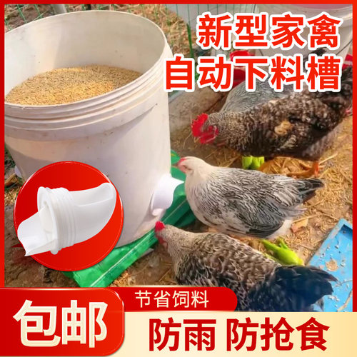 鸡自动喂食器家禽下料投食器防撒