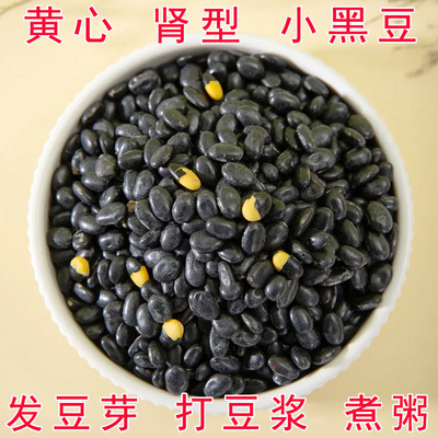 5斤小黑豆原味肾型黄心发芽专用生苗芽菜小粒豆浆豆芽发芽率高1斤