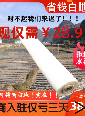 白地膜农用保温增温白色膜黑色地膜除草塑料透明薄膜蔬菜大棚用膜