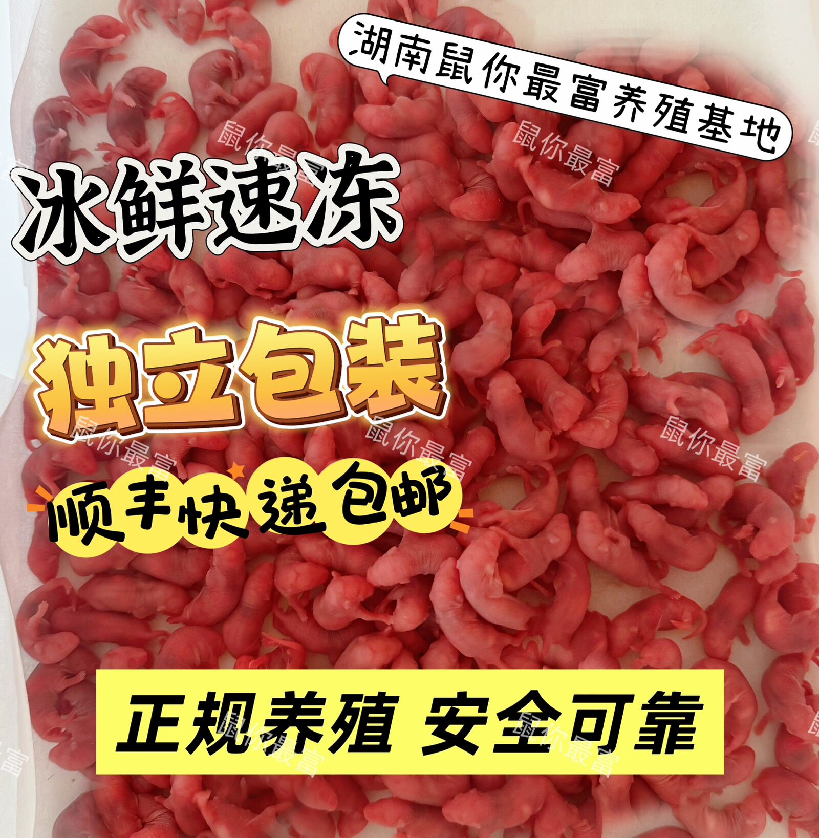 宠物蛇红皮粉皮无菌爬虫宠物活饵饲料冷冻顺丰包邮