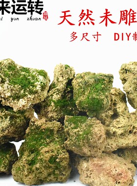 原石吸水石奇石假山盆景上水石毛石毛料造景石微景观石头摆件配石