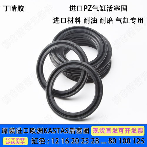 进口KASTAS派克型PZ活塞圈12-125