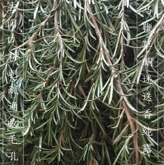 优果儿马鞭草草酮迷迭香去闭口粉刺疏通收缩毛孔控油紧致250ML