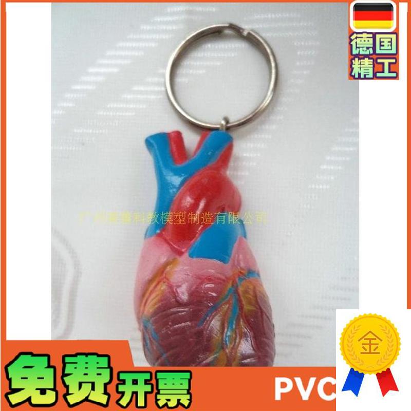 心脏钥匙c扣仿真心脏小型人体心脏钥匙扣模型人体内脏钥匙扣
