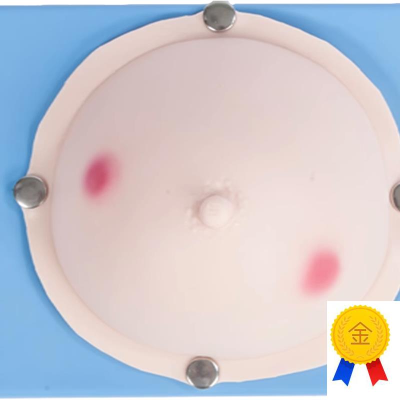 乳腺脓肿切开操作模型乳H腺脓肿检查训练模型
