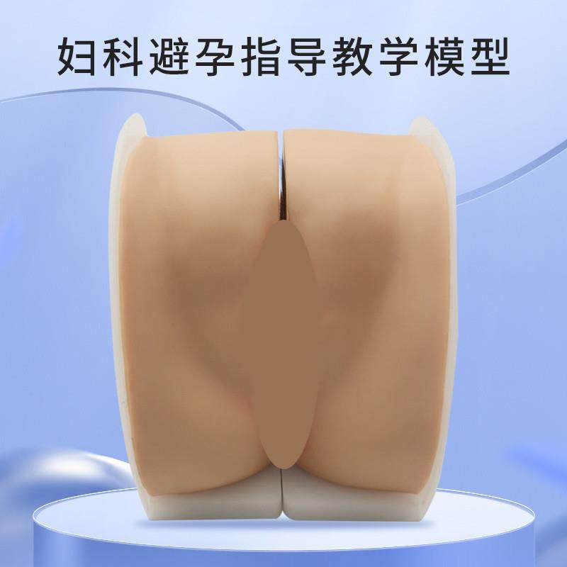 女性生殖器模型宫颈子宫阴道卵巢妇科E检查生殖私密教学1比1软硅