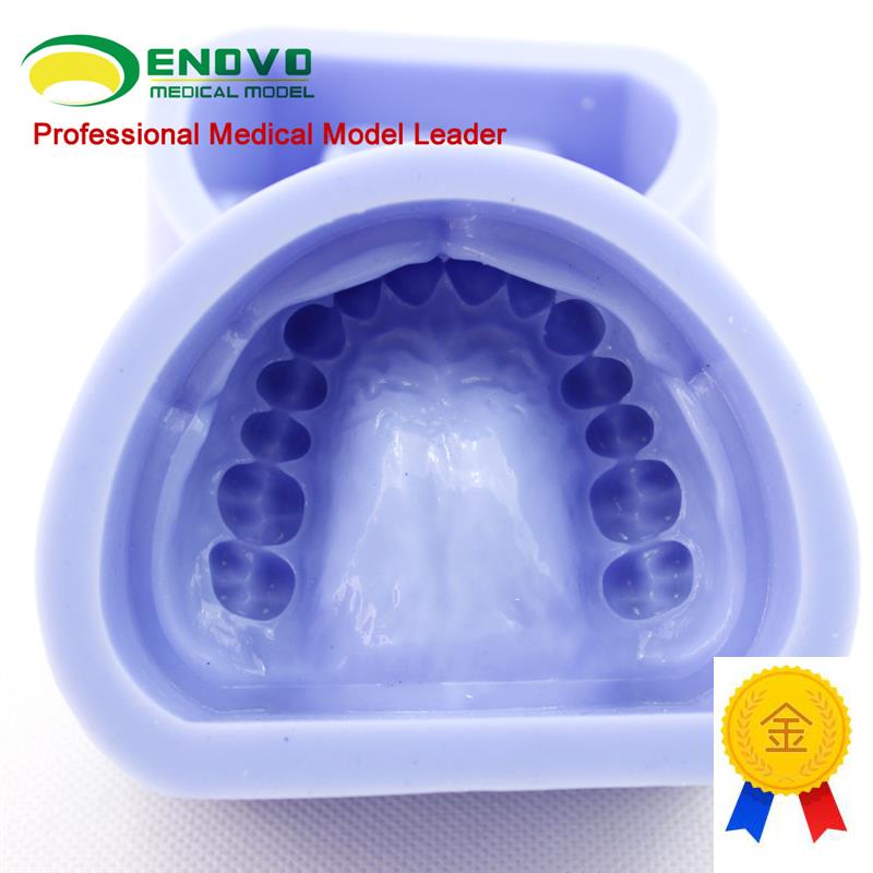 颐诺正品硅胶标准牙颌硅橡胶阴模口腔技工口S腔科齿科牙颌石膏