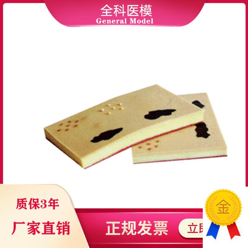 表皮常见病表处理训练模块GM/WX00103