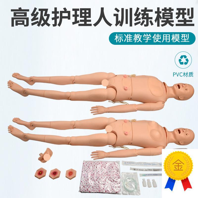 高级全功能护理人体模型男女导尿模型带内脏褥疮口T鼻插管吸痰洗
