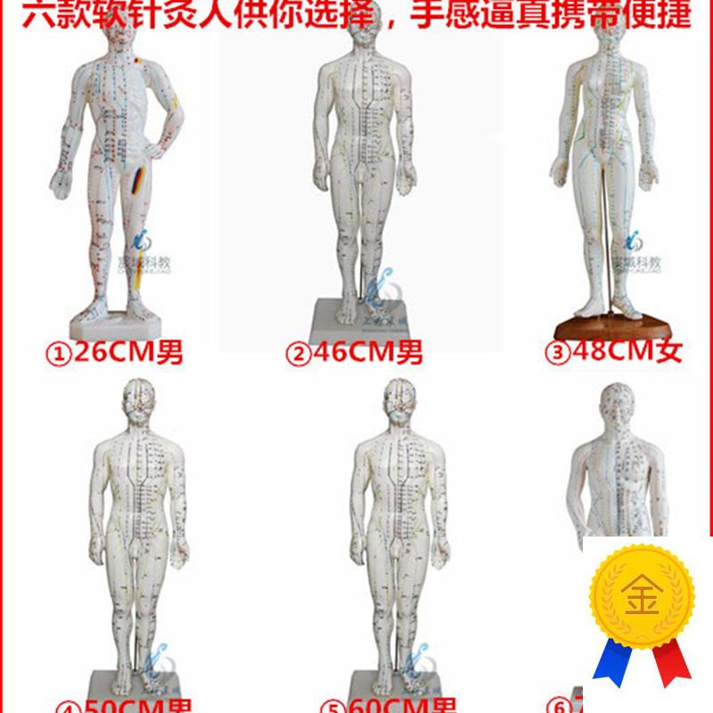 超清人体针灸穴位m模型经络通铜人刻字中医教学人体模型男女小人