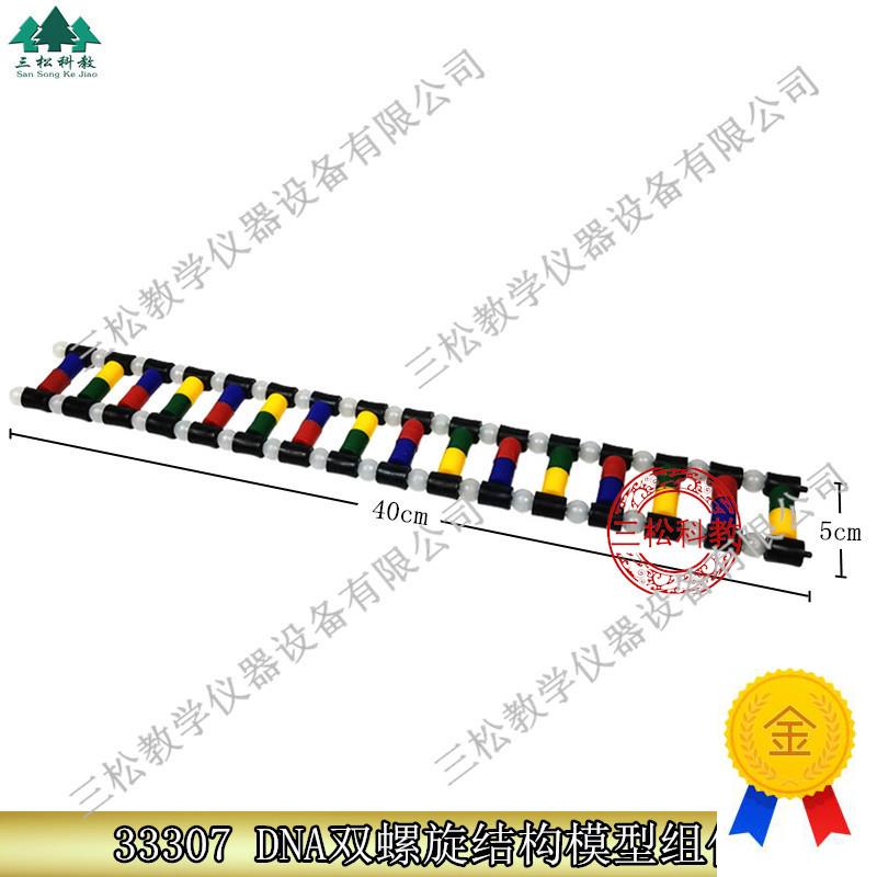 33307DNA双螺旋结构模型组件生物实验演示DNWA组成教学仪器