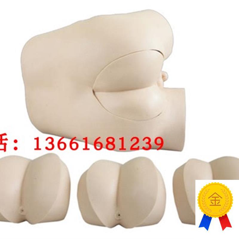 高级直肠指h诊检查示教模型高级直肠指诊检查模型