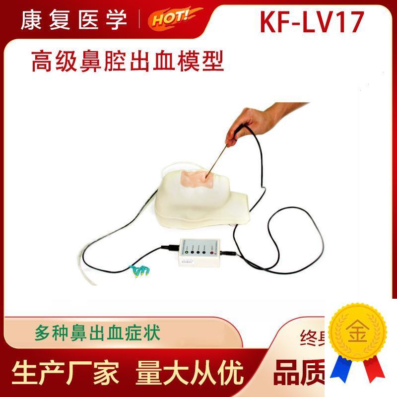 鼻腔出血止血护理模型高v级鼻腔出血模型多种鼻出血症状模型