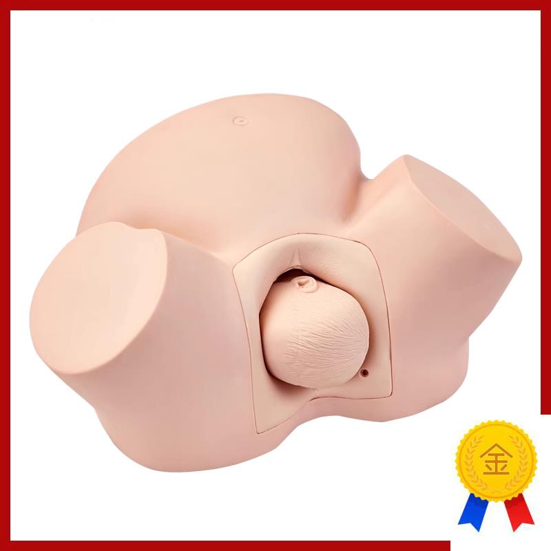 高级助产训练模型分娩示教模型妇产科难产助T产分娩教学模具
