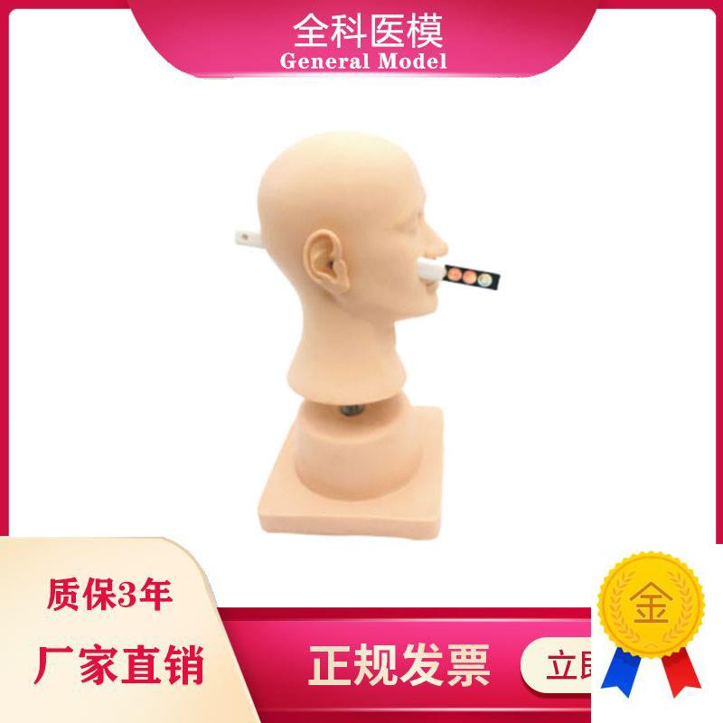 高级耳诊断模型正常病变C的鼓膜模块耳内检查模型