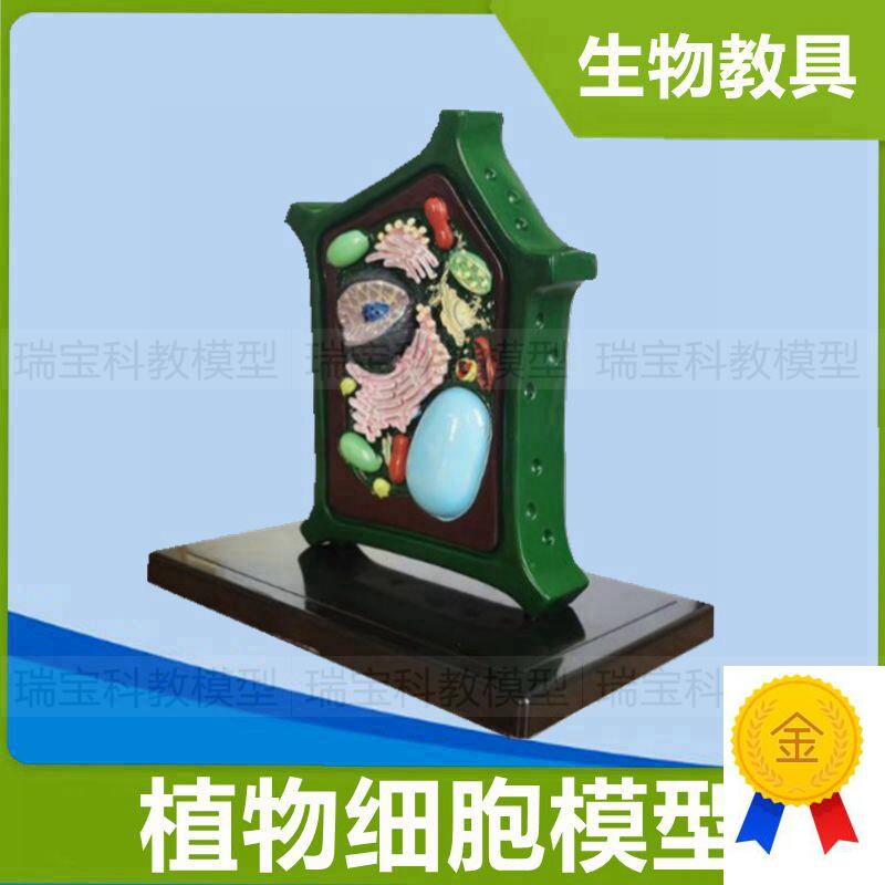 植物细胞模型叶绿体细胞器t滤泡生物课教学仪器初中教育装备动植