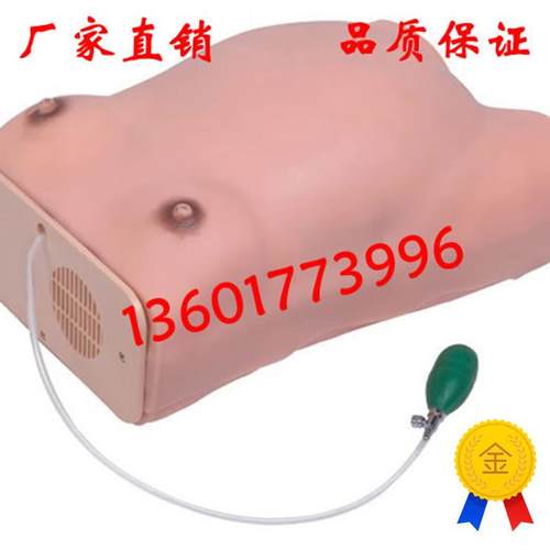 高级孕妇检查模型孕妇x腹部触诊模型腹部触诊模型人