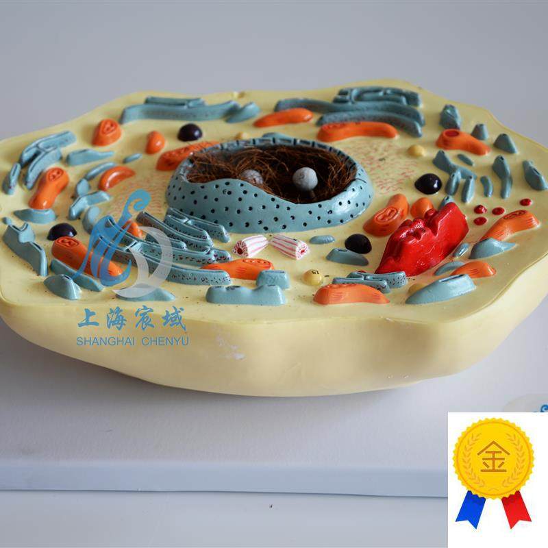 动物细胞模型显微结构解w剖模型中学生物教学生物细胞器材