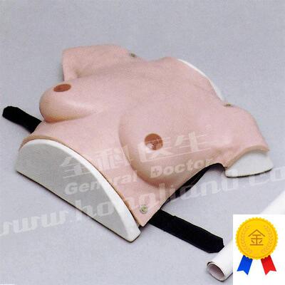 高级着装式乳房自检模型pGD/F7C/女性乳房检查模型/乳腺自检模型
