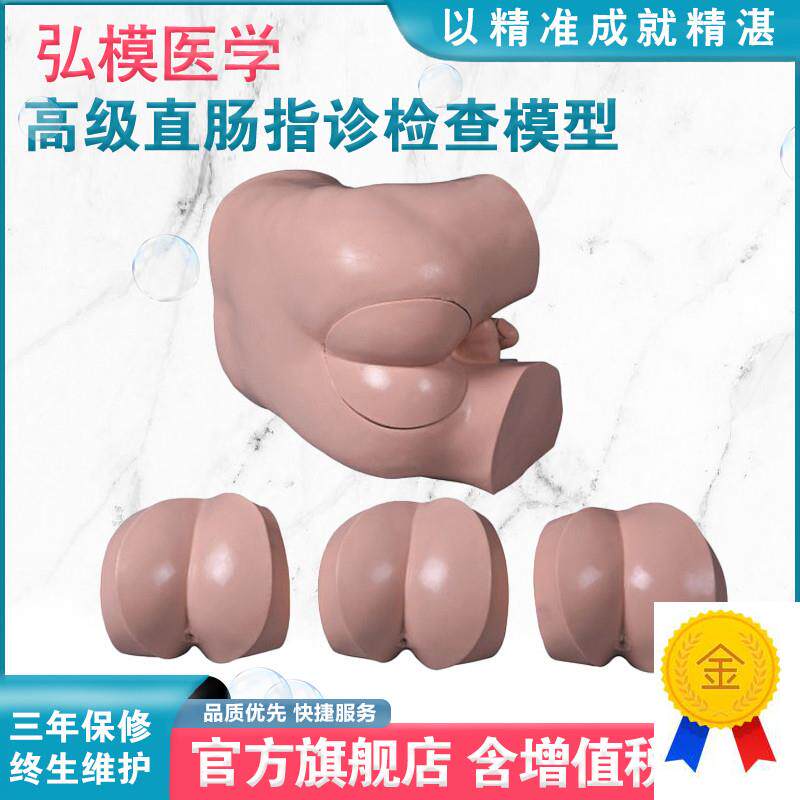 弘模HOM/LV39高级直肠指诊检查模型H前/列腺触诊模型肛门检查模型
