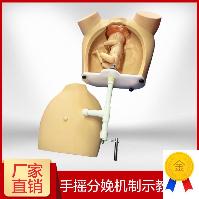 高级手摇分娩机制示教模型医学用练习模具助产训练W模型分娩教学