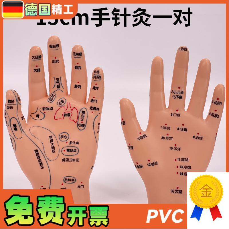 超清晰小儿手部j反射区模型中医推拿针灸教学穴位模型儿童仿真手