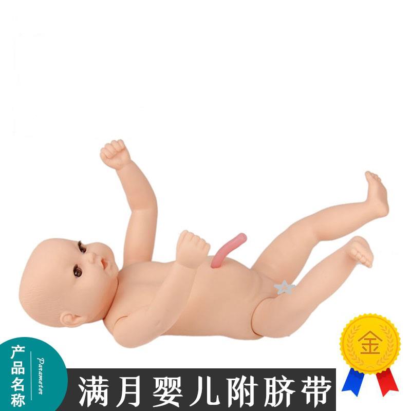 高级出生b婴儿附脐带模型婴儿模型月嫂家政培训娃娃