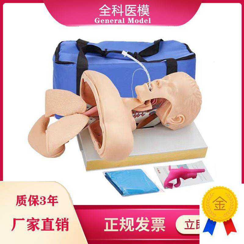 GM/J50高级人体气管插管训练模型J成人口鼻气道管理急救模具