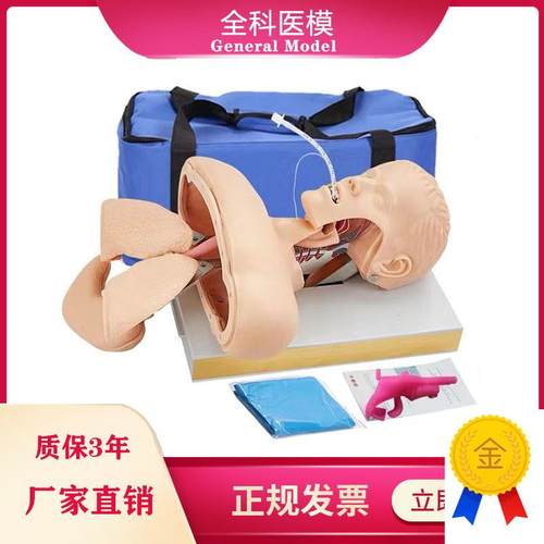 GM/J50高级人体气管插管训练模型J成人口鼻气道管理急救模具