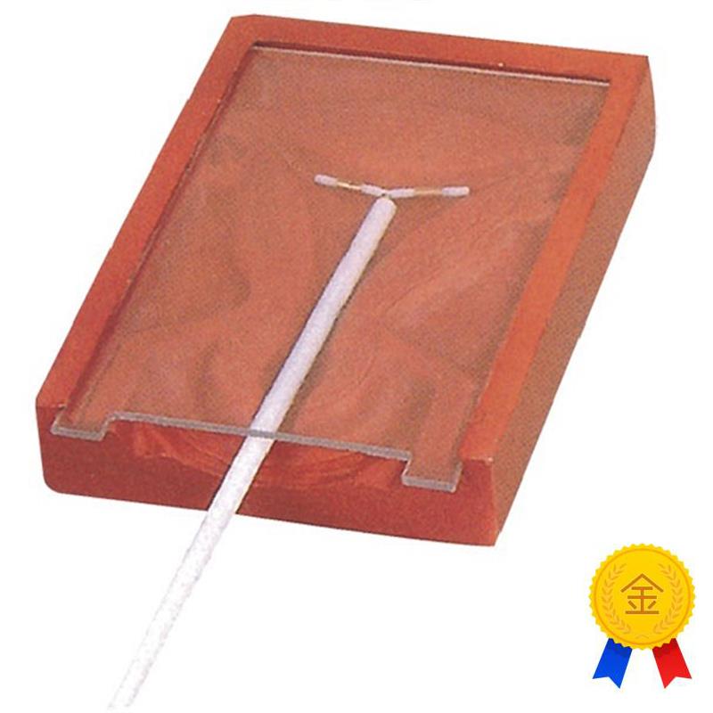 高级宫内避g孕器训练模型计划避孕模型计生教育模型