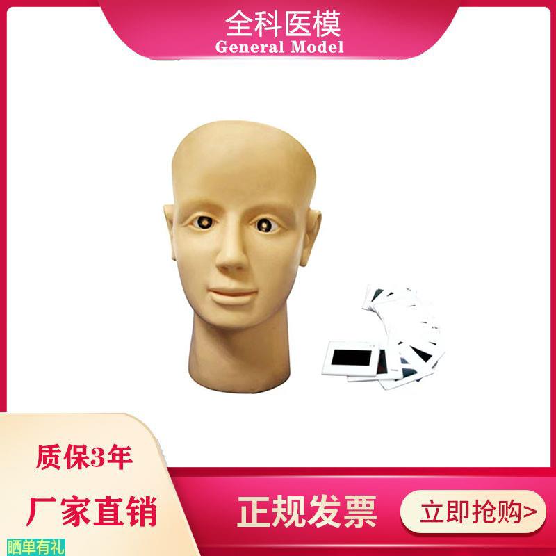 眼视网膜病变训练模型眼球检查练习养老护理高血压糖尿病人眼睛