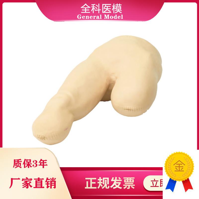 低位包扎模型腿部下肢截肢病人三角巾包裹训练教学假人体X模具LV1