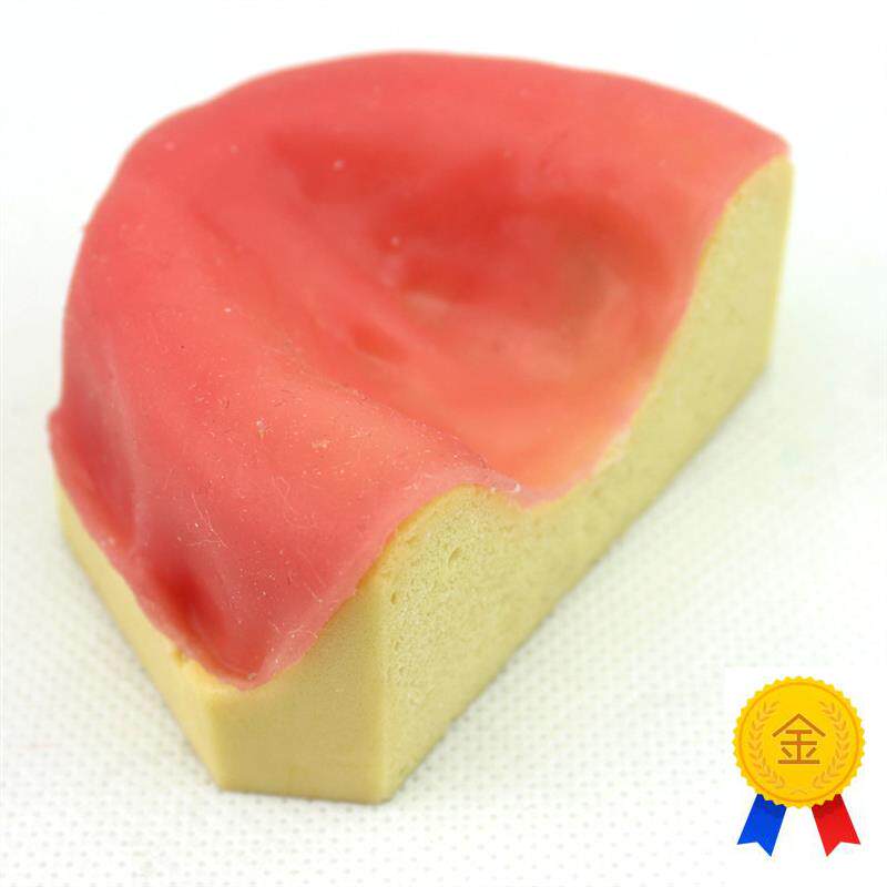 ENOVO颐诺口腔即刻种植模型仿真下颌H骨附牙龈模型种植牙训练培训