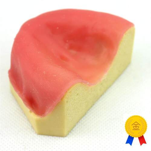 ENOVO颐诺口腔即刻种植模型仿真下颌H骨附牙龈模型种植牙训练培训