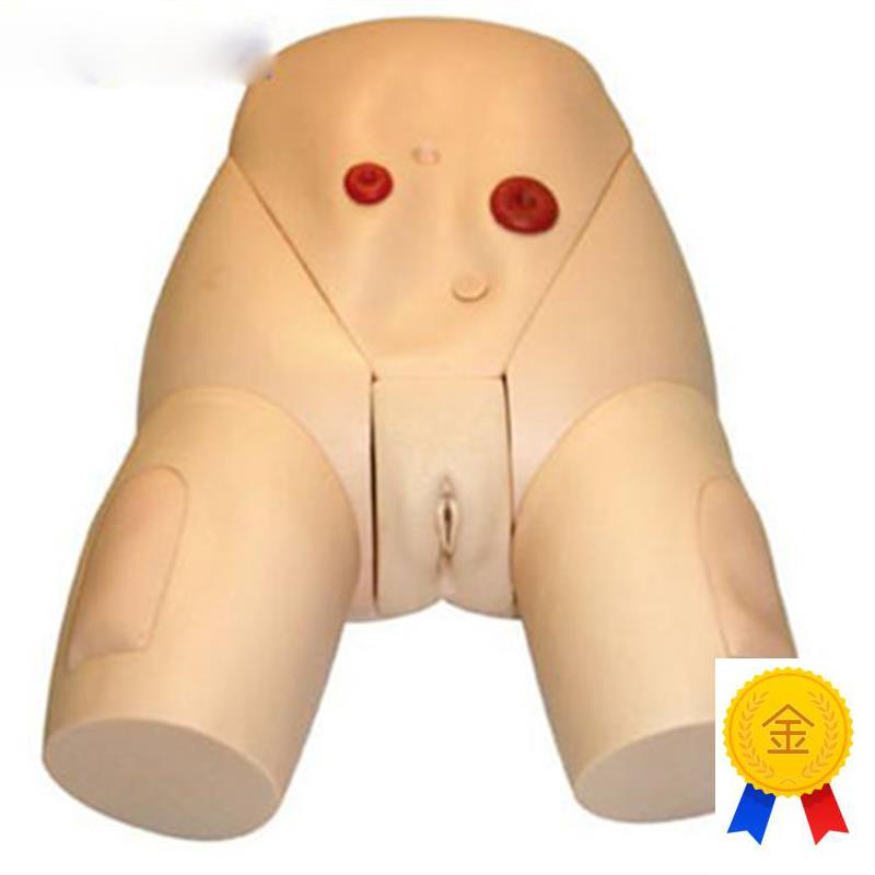 高级医学导尿器官实o习练习模型女性生殖器导尿培训模型训练模具