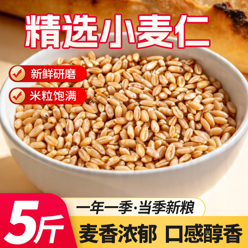 小麦仁 1斤 5斤新小麦煮粥脱皮新鲜谷物麦子新货食用粗粮