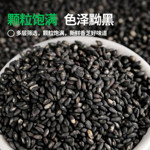 汾都香1斤当季现炒黑芝麻东北熟黑芝麻粒免洗无沙即食烘炒香脆3斤