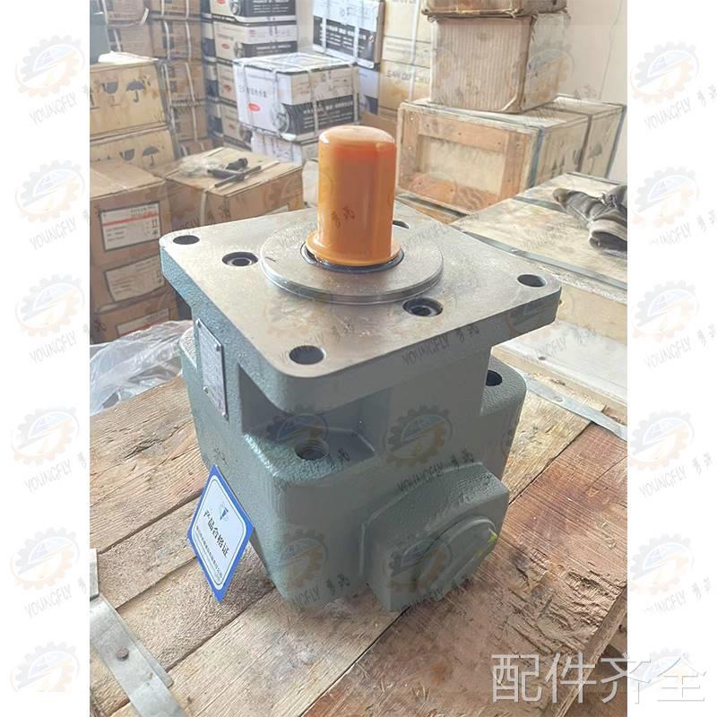 银川长城液压产配套M71030 M7132 M7140平面磨床YB1-10叶片泵配件