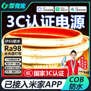 已接入米家Mesh2.0全光谱智能COB灯带庭院户外柔性防水可泡水灯带