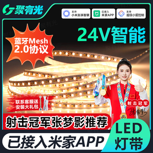 已接入米家APP藍(lán)牙Mesh2.0智能LED低壓燈帶全光譜三色低壓24V燈帶