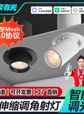 Mesh2.0智能可拉伸射灯象鼻灯