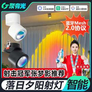 已接入米家APP日不落智能嵌入式 射灯涂鸦玄关背景小山丘夕阳 明装