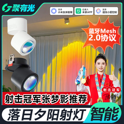 智能Mesh2.0夕阳射灯明装嵌入式