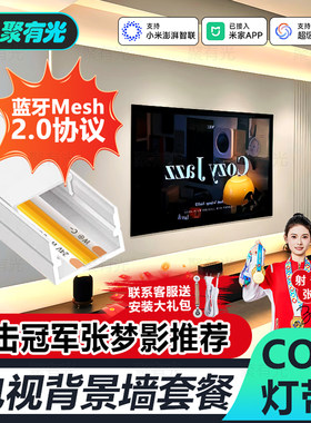 Mesh2.0电视背景墙智能灯带灯条