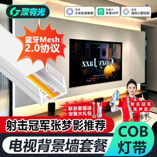Mesh2.0电视背景墙智能灯带灯条
