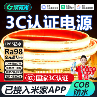 已接入米家Mesh2.0全光谱智能COB灯带庭院户外柔性防水可泡水灯带